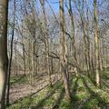 A panoramic photograph of compartment 16