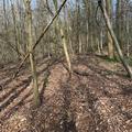 A panoramic photograph of compartment 19