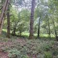 A panoramic photograph of compartment 20