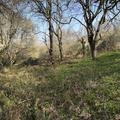 A panoramic photograph of compartment 62