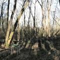 A panoramic photograph of compartment 65