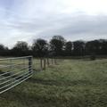 A panoramic photograph of compartment 66