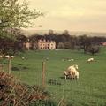 Wytham Abbey and Park