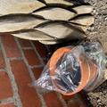 A terracotta plant pot with a plastic bag secured over the top of it.