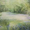 A watercolour painting of a woodland glade