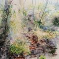 A watercolour painting of woodland flora