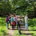A group of young people in the woods, using binoculars