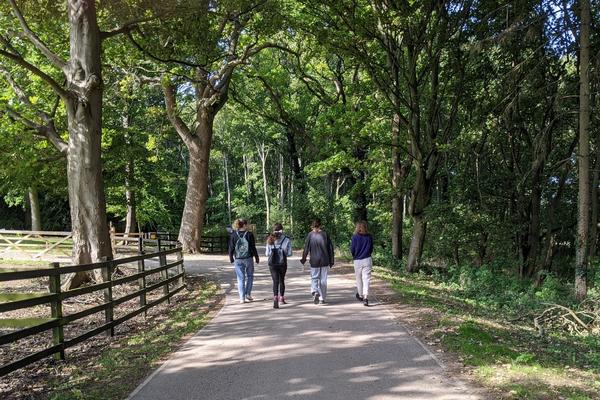 Picture of Wytham Woods