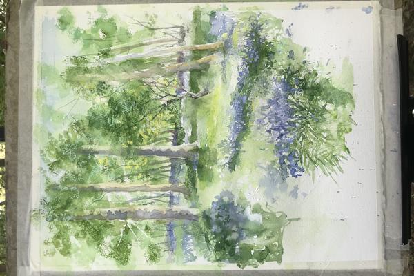 A watercolour painting of bluebells, painted by Susan Neale in May 2022