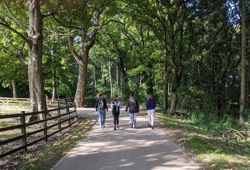 Four students walk along the pathway into Wytham Woods