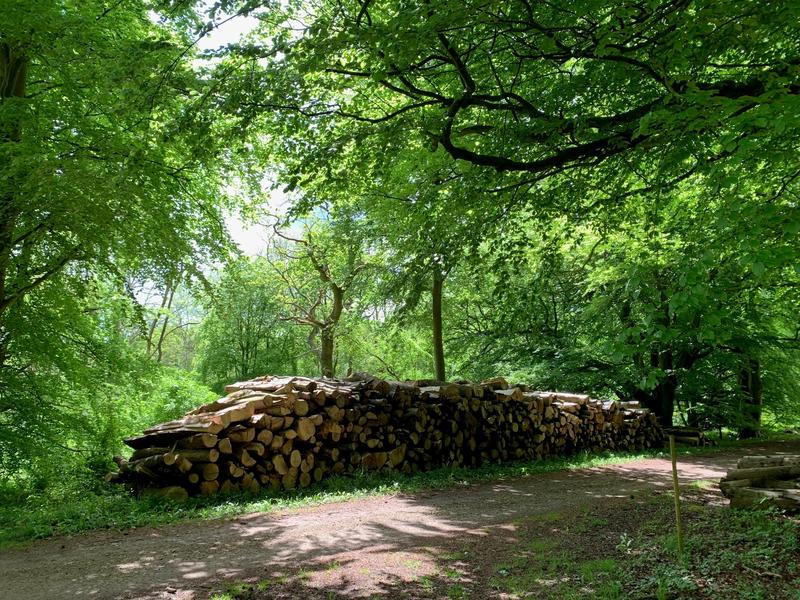 log pile