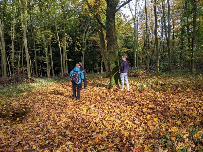 Three students standing in a woodland glade