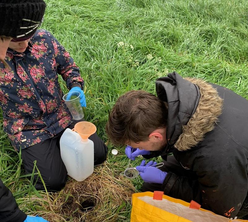 tilbury farm plot pitfall sample