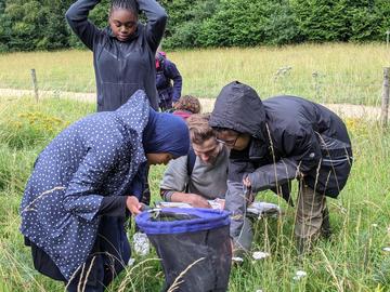 Students peer into a butterfly net, outdoors at Wytham Woods