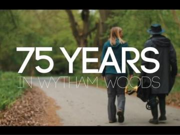 Two people walking down a tree lined road with wording over image stating 75 Years in Wytham Woods