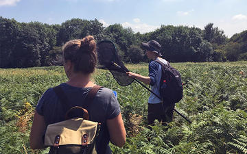 Female and male walking through a green meadow with a net and backpacks