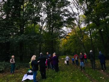 a crowd of people standing within the woods at twilight, surrounded by various size trees and green foliage