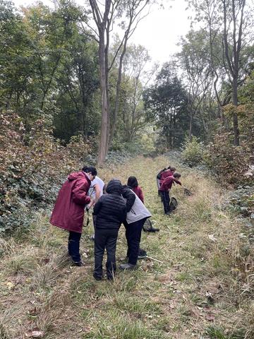 A group of school students look for insects in Wytham Woods