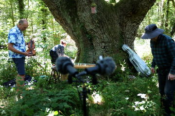 Two people setting up musical instruments under a large moss covered tree with a small bird house hanging from a branch.