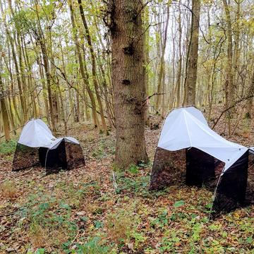 two malaise traps in Wytham Woods