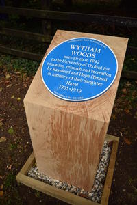 Large blue plaque displayed on a thick square wooden block, surrounded by foliage