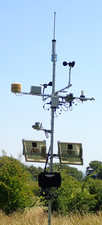 A photograph of a microclimate station situated in grassland at Wytham.