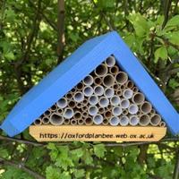 plan bee  bee apartment