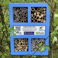 plan bee  bee hotel
