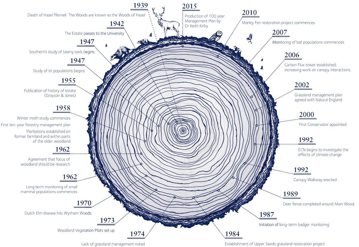 history infographic