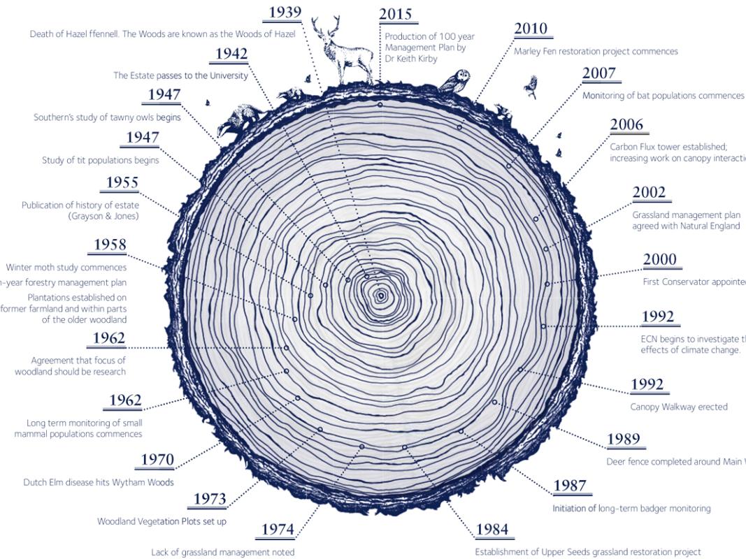 history infographic