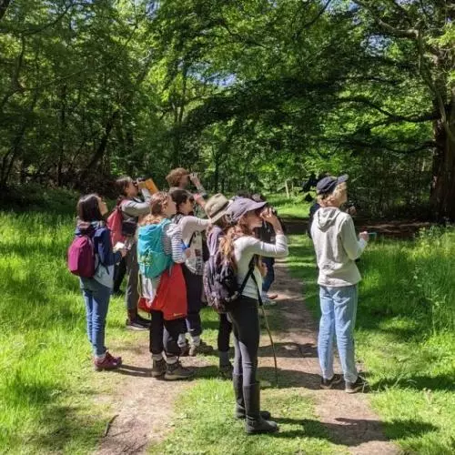 A group of young people in the woods, using binoculars