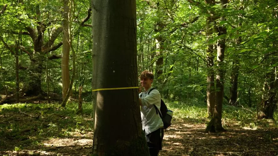 A member of the Oxford Ecosystems team at Wytham Woods