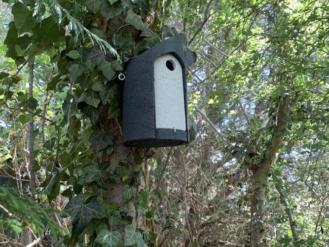 A bird box at Wytham Woods