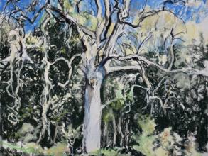 Ash tree in Autumn