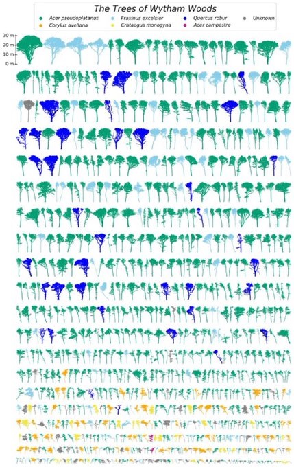 A pictorial representation of the trees scanned, colour coded by species